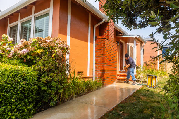 Best House Pressure Washing  in Salem, OH